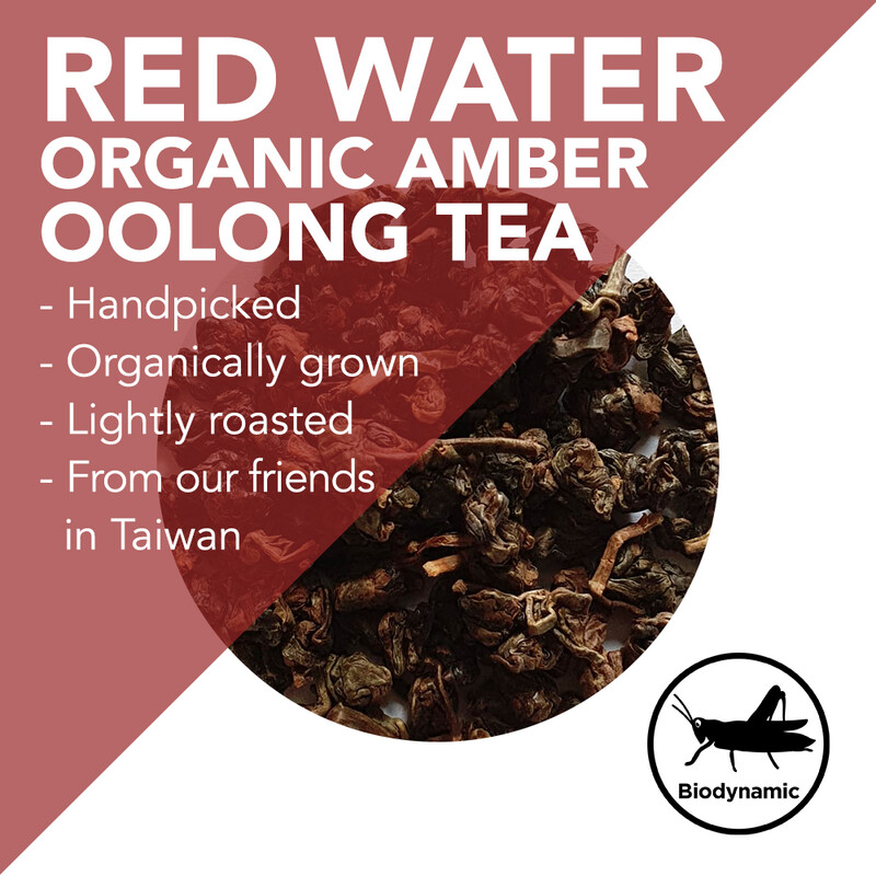 Red Water Organic Amber Oolong – Handpicked Single Estate – Spring