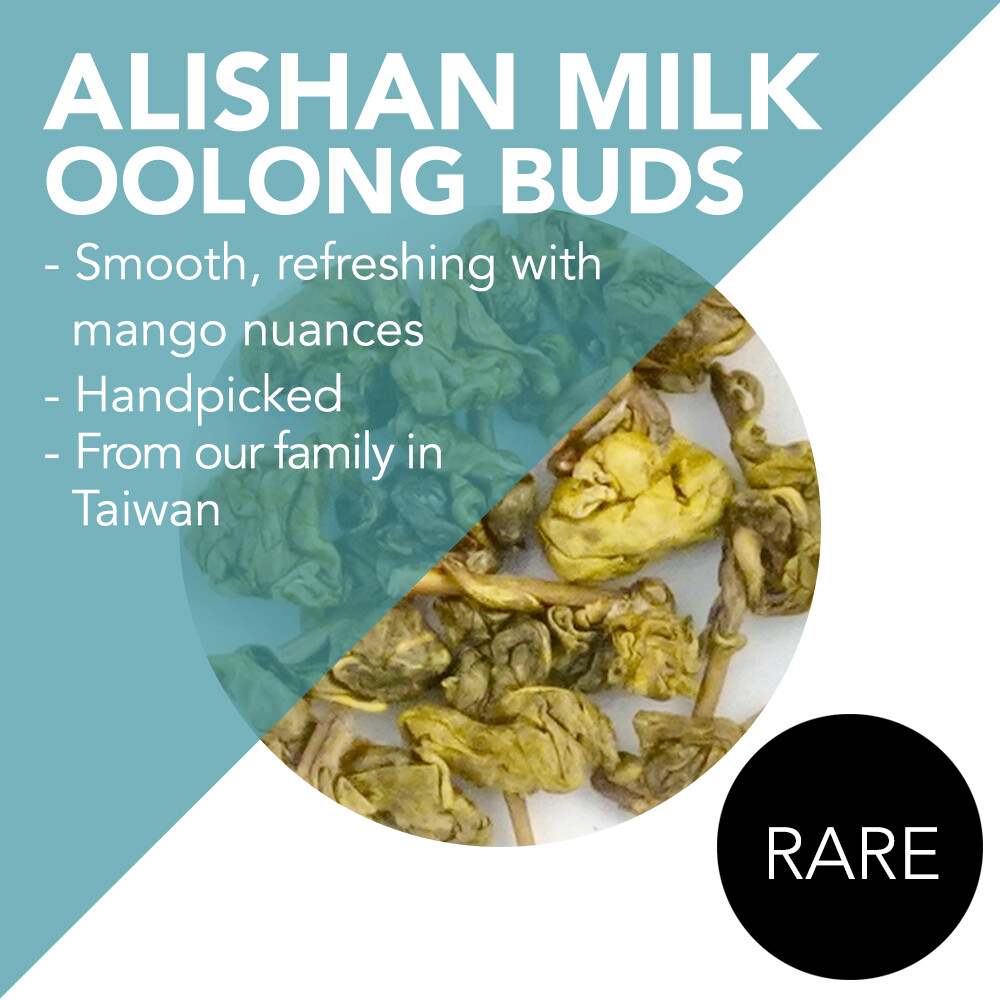 *RARE* Handpicked Alishan Milk Oolong Buds, 2nd Winter Harvest - Smooth, refreshing, tropical fruit notes