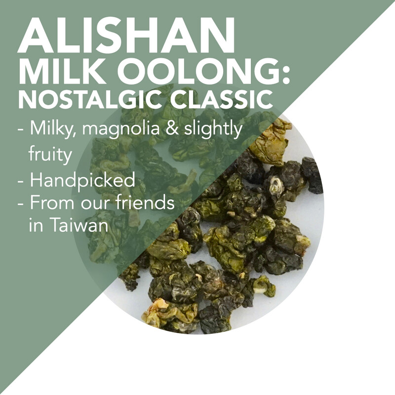 Handpicked Alishan Milk Oolong – Nostalgic Classic – milky, magnolia, and slightly fruity