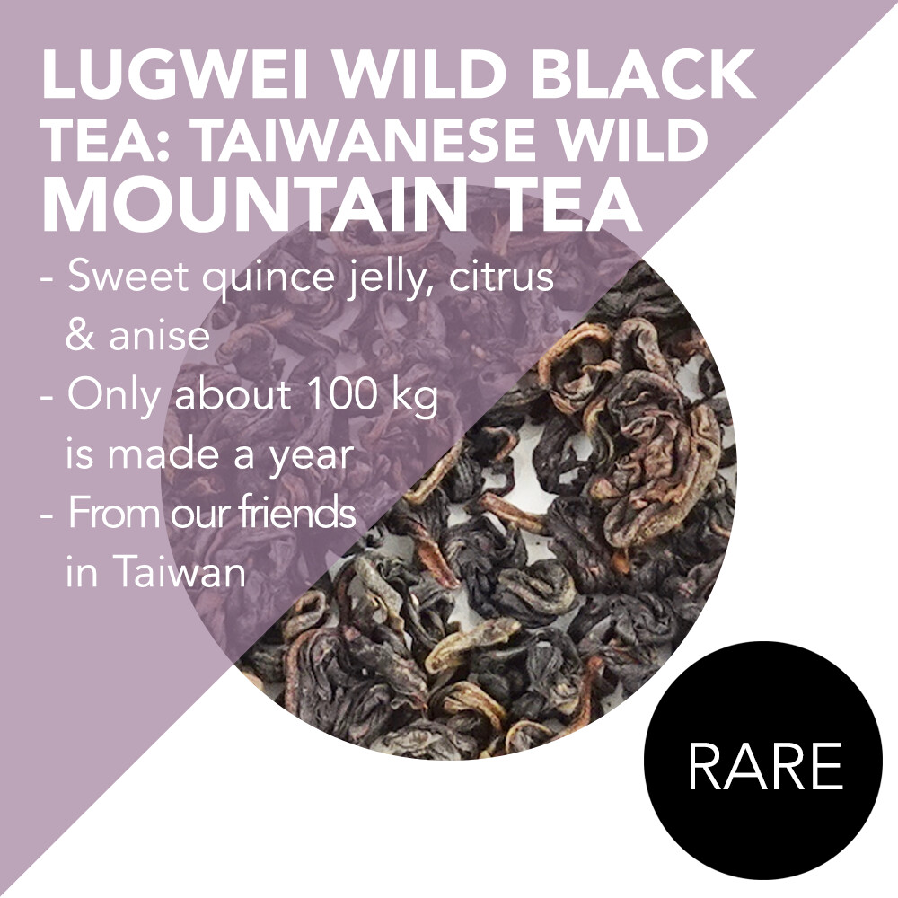 *RARE*  Lugwei Wild Black Tea: Taiwanese Wild Mountain Tea - Total harvest of 100 kg per year