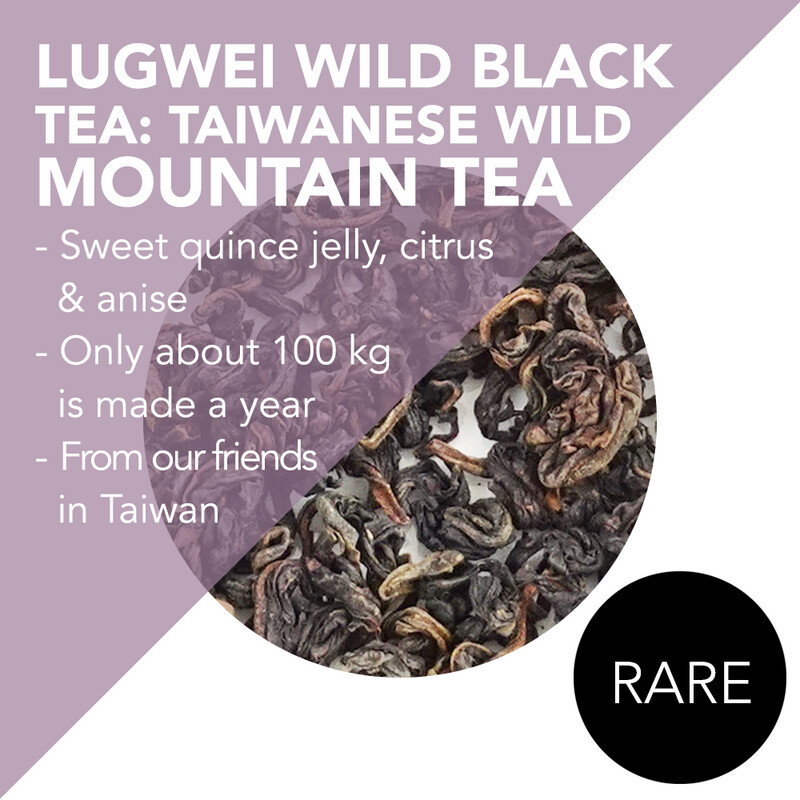 *RARE*  Lugwei Wild Black Tea: Taiwanese Wild Mountain Tea - Total harvest of 100 kg per year