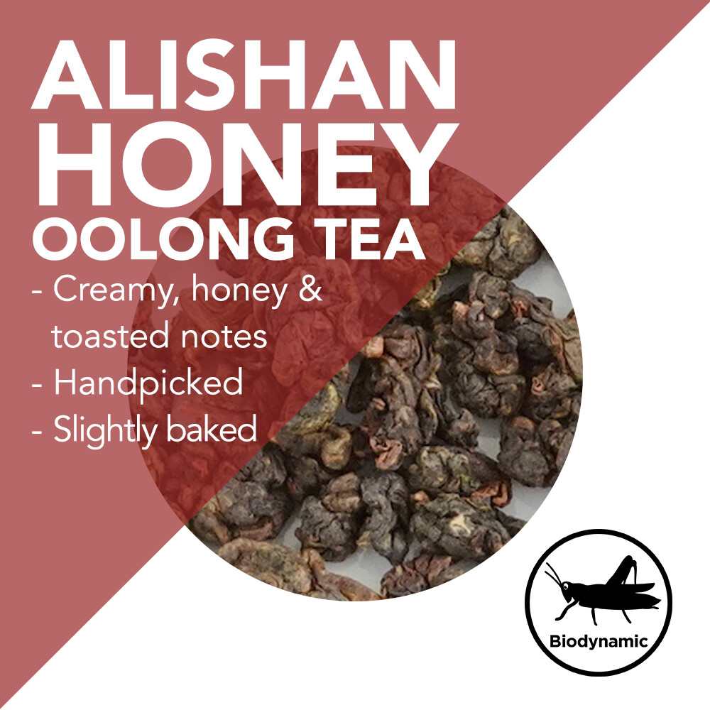Handpicked Alishan Honey Oolong - Creamy, honey and toasted notes