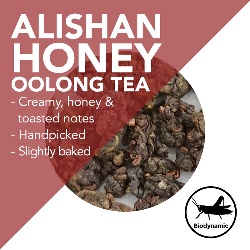 Handpicked Alishan Honey Oolong - Creamy, honey and toasted notes