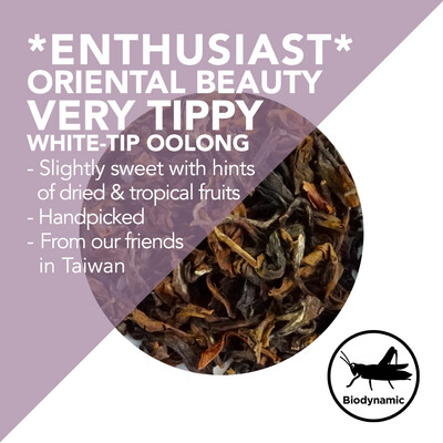 *Enthusiast* Oriental Beauty Tea - Tippy White-Tip Oolong -  Handpicked